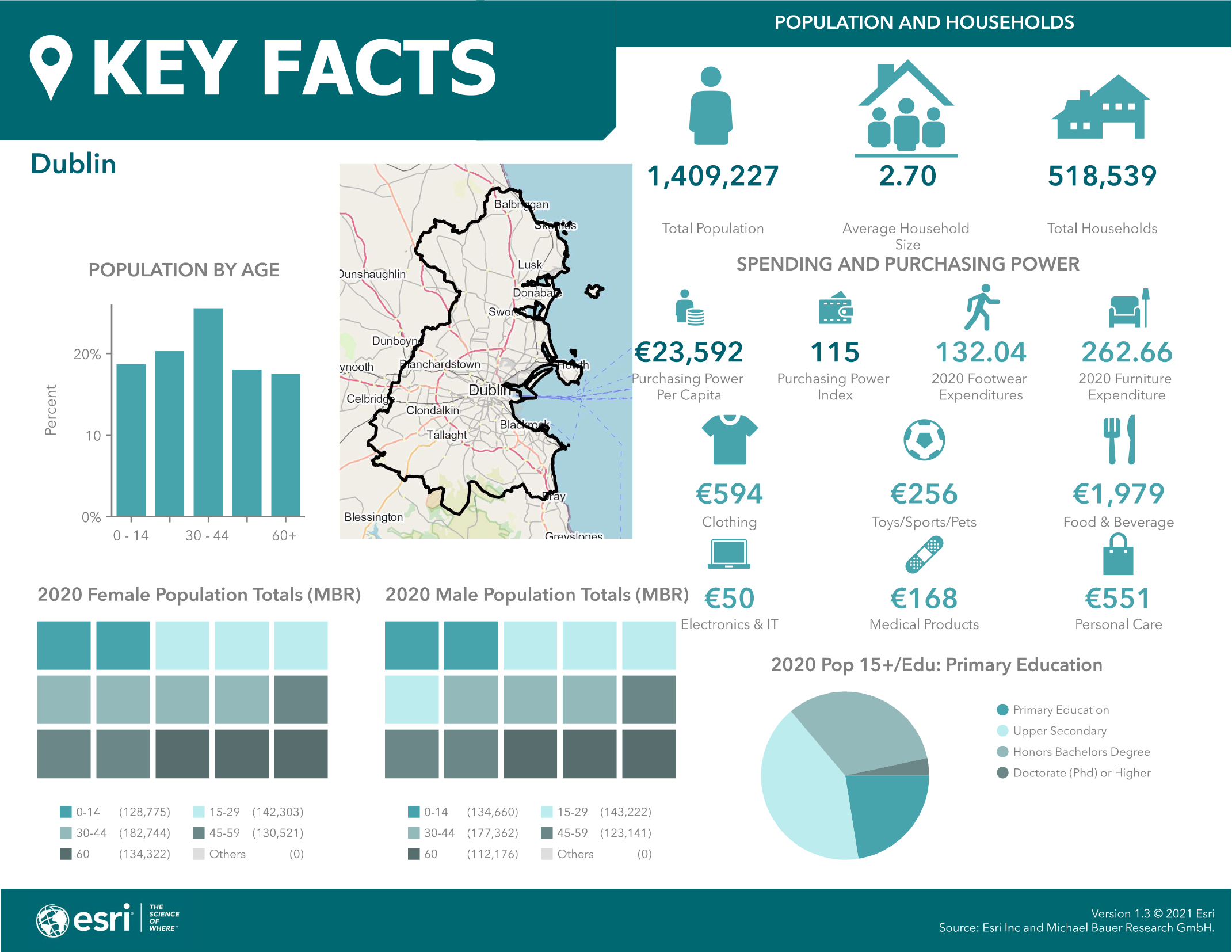 Dublin Demographic